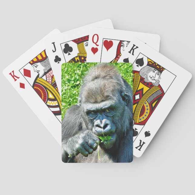 VILDA DJUR - GORILLAS CASINOKORT (Baksidan)