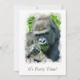 VILDA DJUR - GORILLAS INBJUDNINGAR