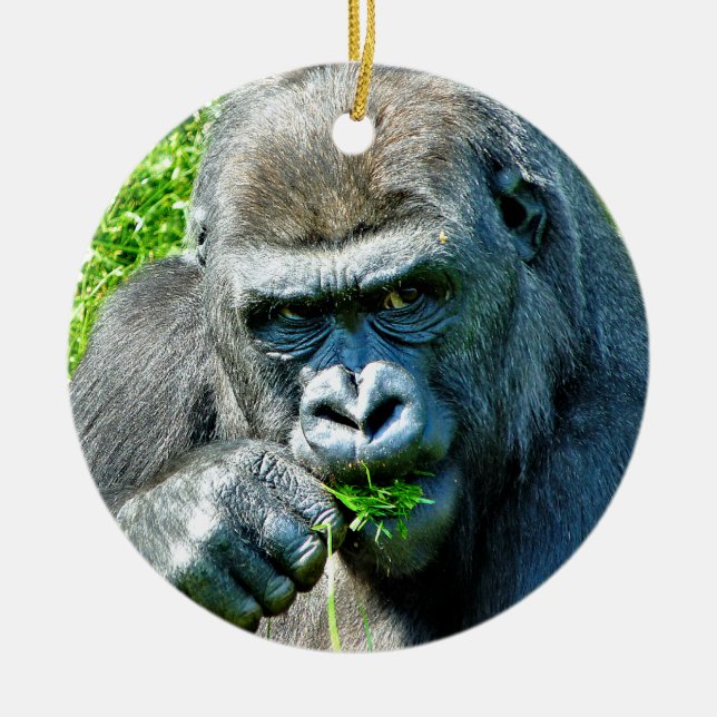 VILDA DJUR - GORILLAS JULGRANSPRYDNAD KERAMIK (Framsidan)
