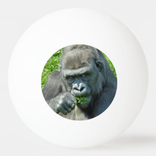 VILDA DJUR - GORILLAS PINGISBOLL