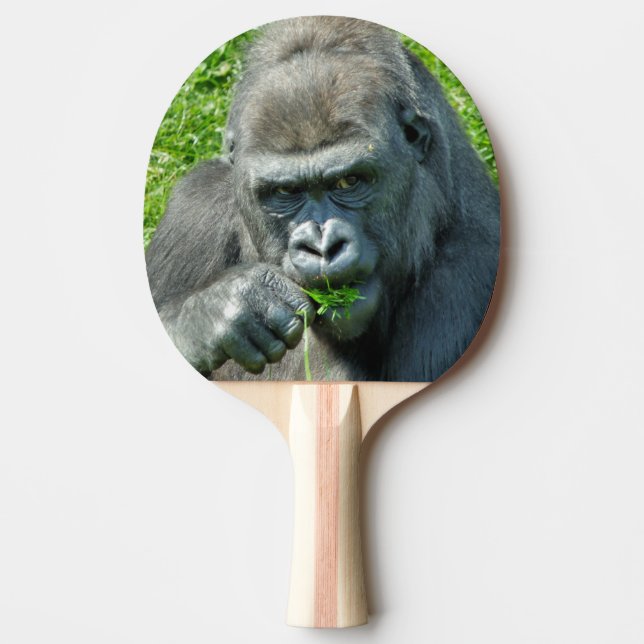 VILDA DJUR - GORILLAS PINGISRACKET (Framsidan)