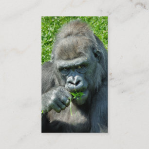 VILDA DJUR - GORILLAS VISITKORT