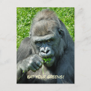 VILDA DJUR - GORILLAS VYKORT