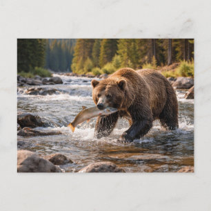 Vilda djur Grizzlybjörn fångar fisk Vykort