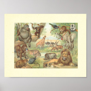 VILDA DJUR i AFRIKA Poster