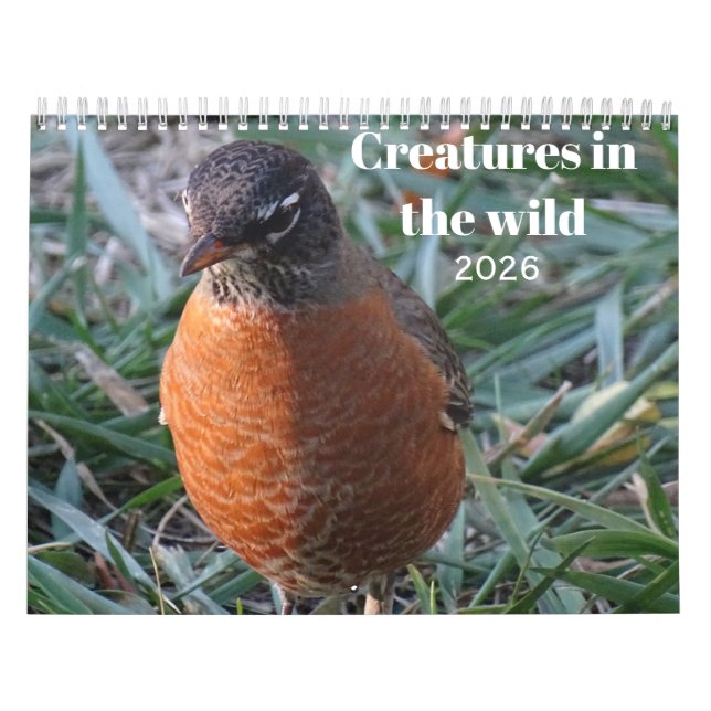 Vilda djur & insekter kalender (Omslag)