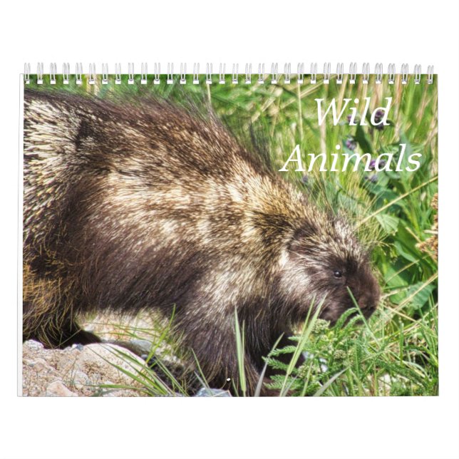 Vilda djur Kalender (Omslag)