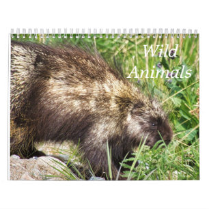 Vilda Djur Kalender