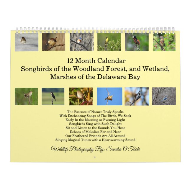Vilda djur-kalender, sångfåglar, vilda fåglar kalender (Omslag)