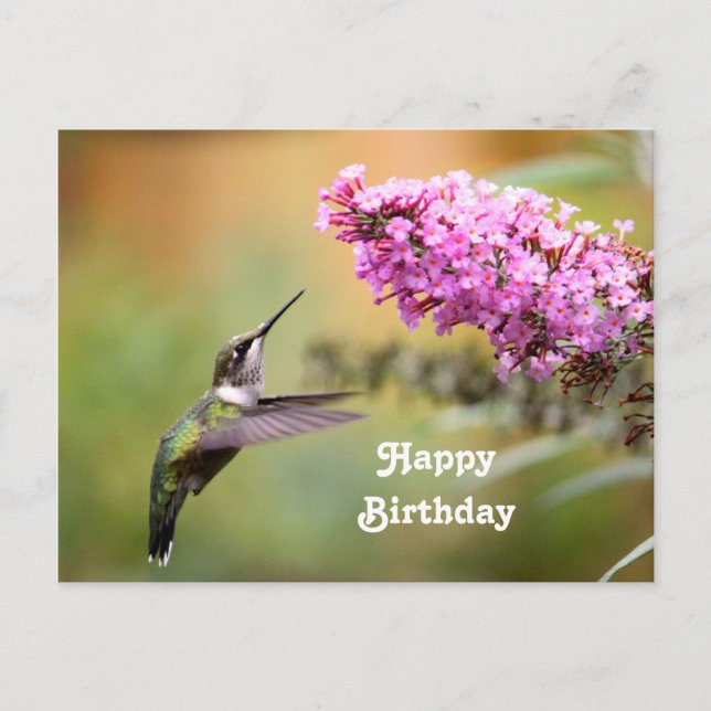 Vilda djur Kolibri Blommig Foto Födelsedag Vykort (Framsida)