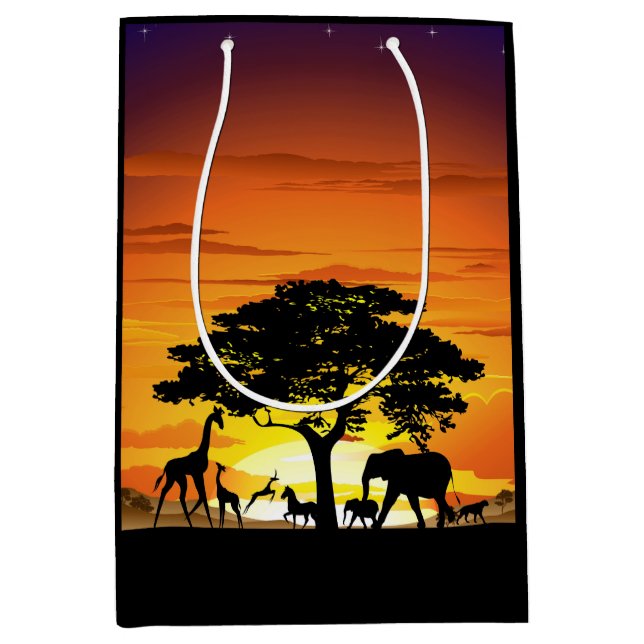 Vilda djur om African Savanna Sunset (Framsidan)