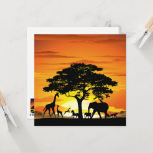 Vilda djur om African Savanna Sunset