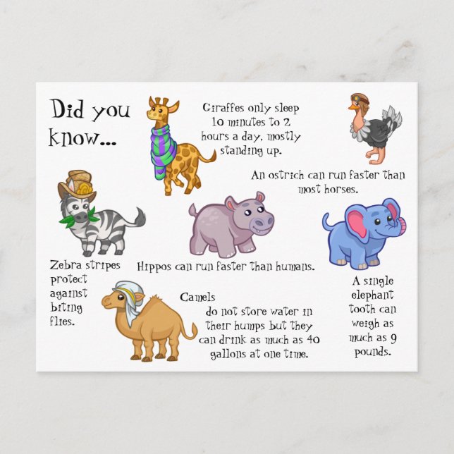 Vilda djur Roligt Facts Vykort (Framsida)