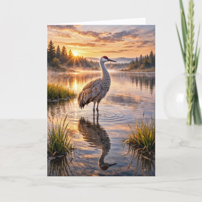 Vilda djur Sandhill Trana Reflekterande Våtmarks S Kort (Framsida)