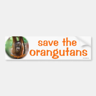 Vilda djur: spara orangutanen bildekal