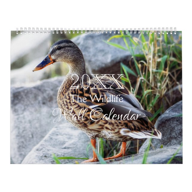 Vilda Djur Väggkalender - HAMbWG Kalender (Omslag)