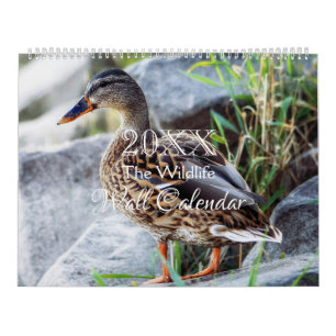 Vilda Djur Väggkalender - HAMbWG Kalender