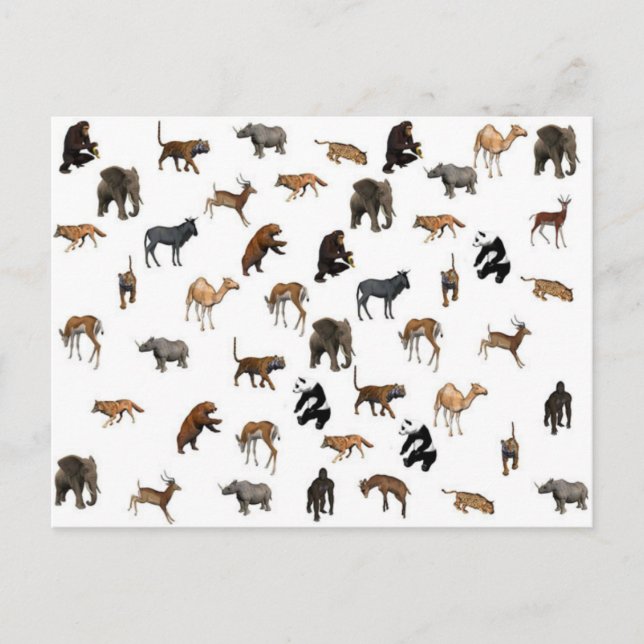 Vilda djur vykort (Framsida)