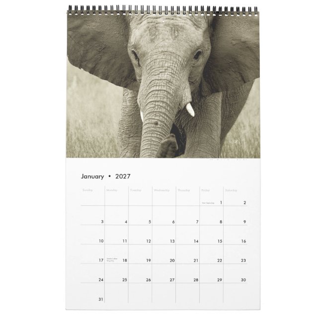 Vilda djurafrikasafari 2012 kalender (Jan 2027)