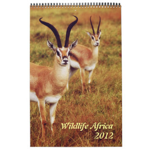 Vilda djurafrikasafari 2012 kalender