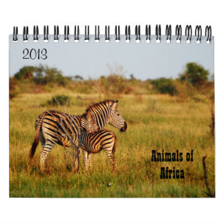 Vilda djurafrikasafari 2013 kalender