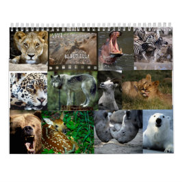 VILDA DJURKALENDER KALENDER