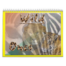 VILDA DJURKALENDER