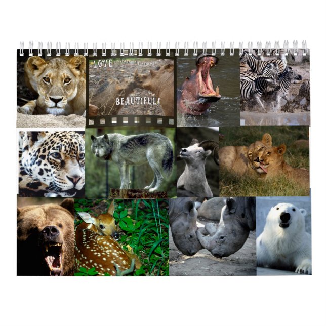 VILDA DJURKALENDER KALENDER (Baksida)