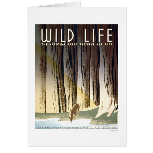 Vilda djurnationalpark 1940 WPA Hälsningskort (Framsidan)