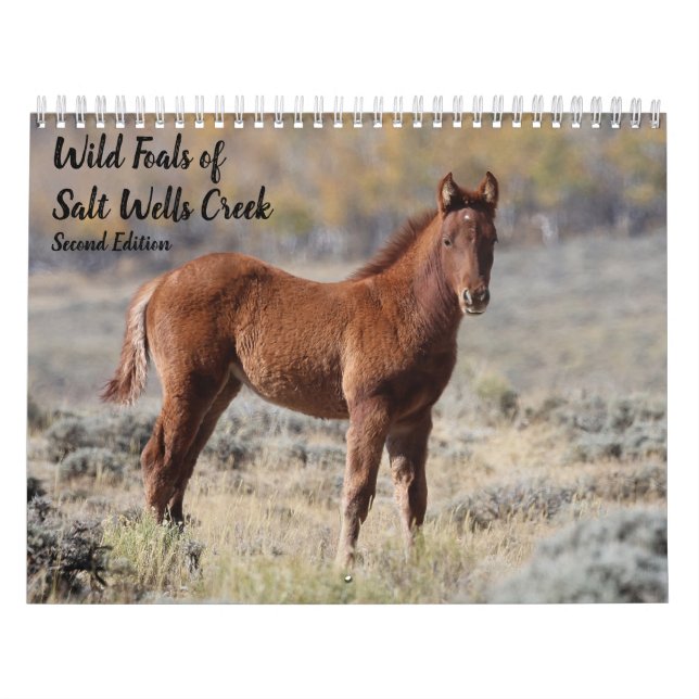 Vilda föl av Salt Wells Creek Kalender (Omslag)