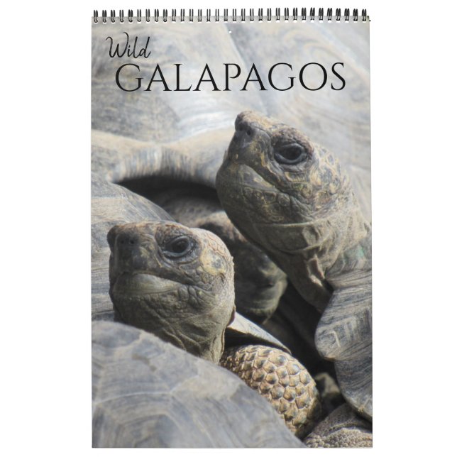 vilda galapagos 2026 kalender (Omslag)