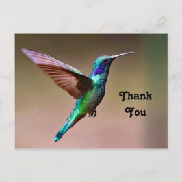Vilda gröna kolibri Foto Tack Vykort