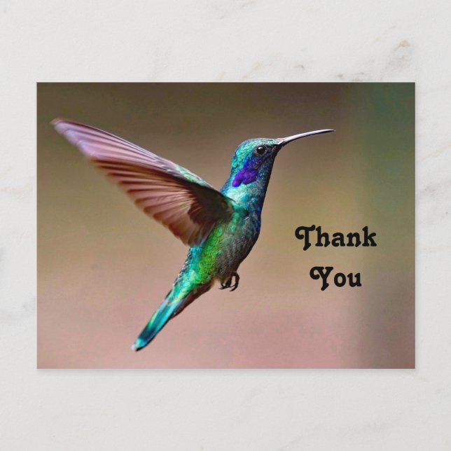 Vilda gröna kolibri Foto Tack Vykort (Framsida)