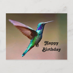 Vilda gröna kolibri fotobursdag vykort