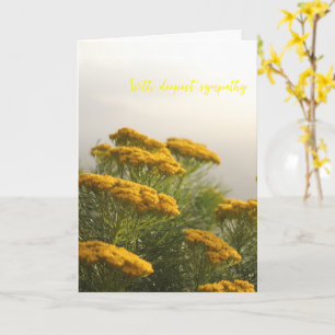 Vilda gula blommor Sydafrika dimmigt väder Kort