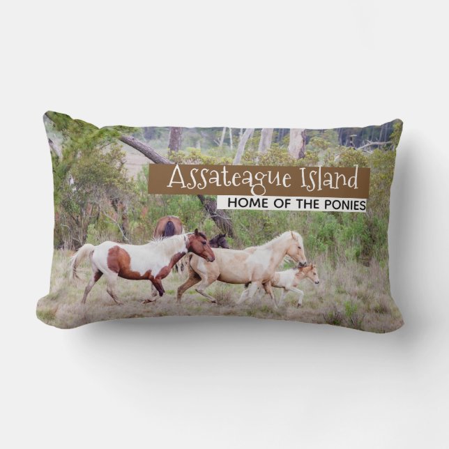 Vilda hästar - Assateague Island Lumbarkudde (Framsida)