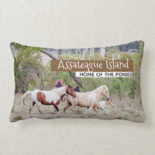 Vilda hästar - Assateague Island Lumbarkudde
