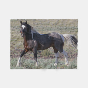 Vilda hästar efter ett dammbad fleecefilt