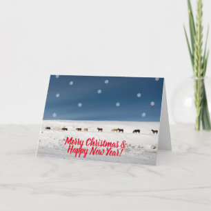 Vilda Hästar God Jul Julkort Kort
