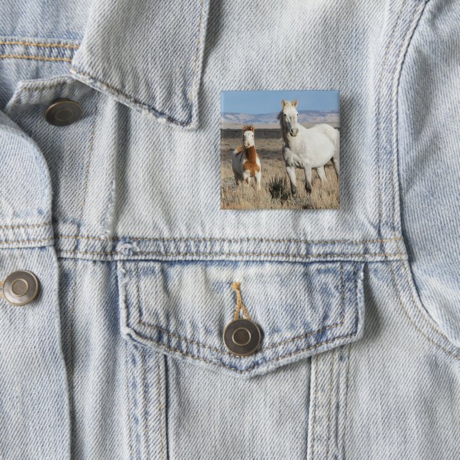 Vilda hästar hemma i Sandwash Basin Knapp (In Situ)