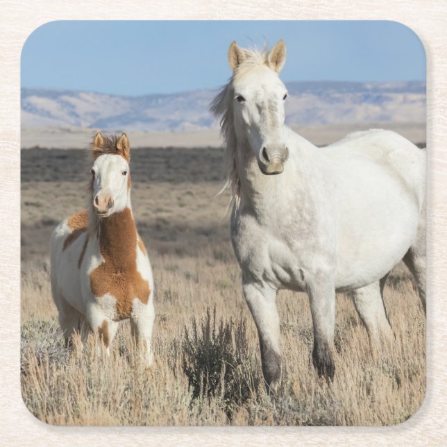 Vilda hästar hemma i Sandwash Basin Underlägg Papper Kvadrat (Framsidan)