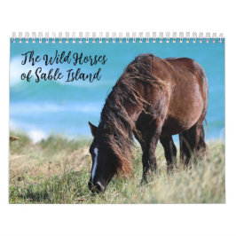 Vilda hästar på Sable Island Kalender