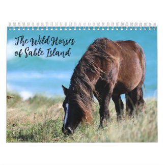 Vilda hästar på Sable Island Kalender