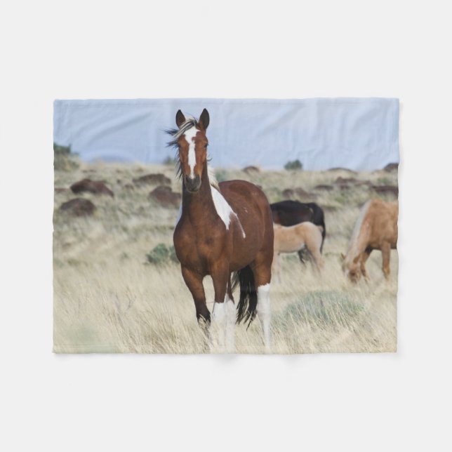 Vilda hästar, Steens Mountains Fleecefilt (Framsidan (Horisontell))