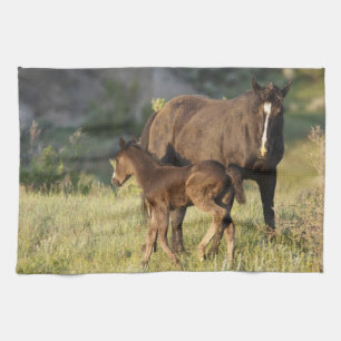 Vilda hästar vid Theodore Roosevelt National Park Kökshandduk