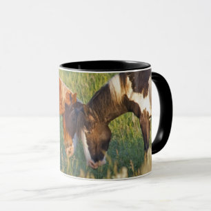 Vilda hästar vid Theodore Roosevelt National Park Mugg