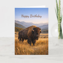 Vilda landskap Amerikansk bison födelsedag