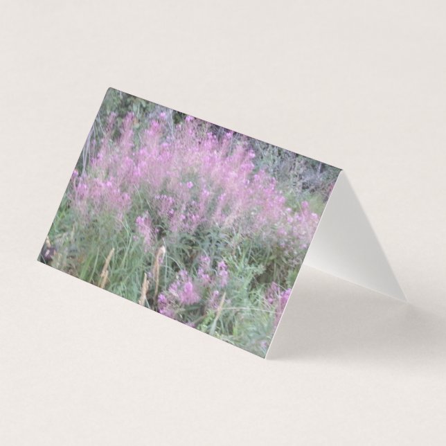 Vilda lavendel flora tomma brevkort kort (Framsida)