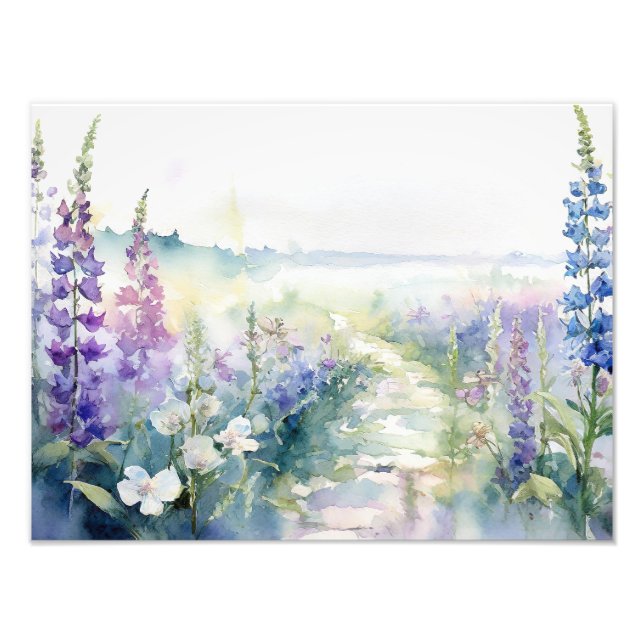 Vilda lavendelblommor i akvarell fototryck (Framsidan)