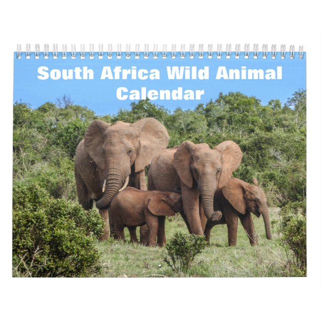 Vilda livet i Sydafrika 2027 Kalender (Omslag)